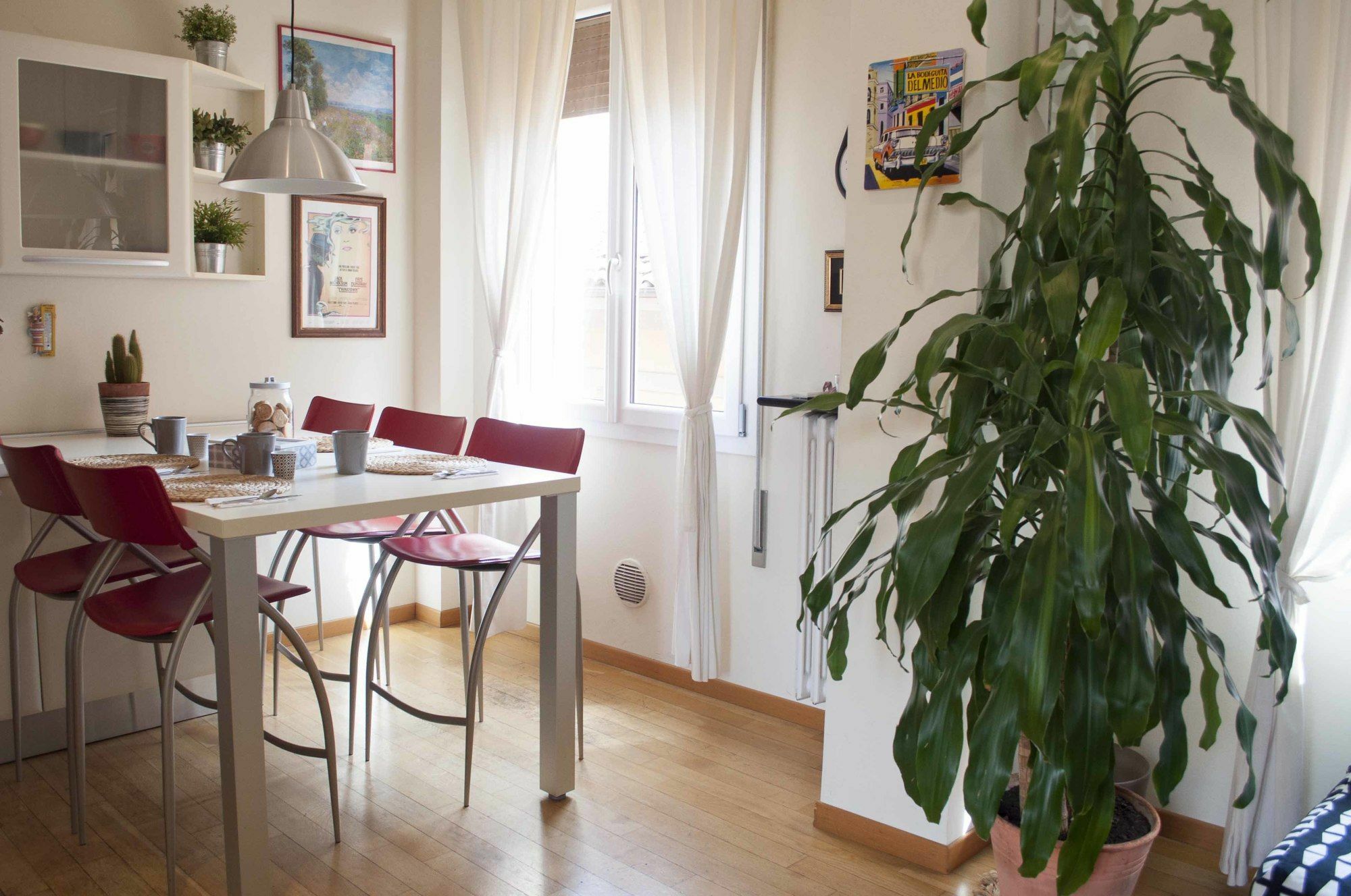 San Domenico Apartment Bolonya Dış mekan fotoğraf